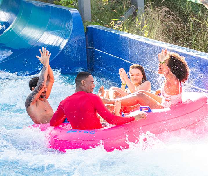ada como compartilhar a emoção e a diversão de um toboágua com os amigos. Um momento de pura alegria e adrenalina em um dia perfeito de sol no parque aquático.