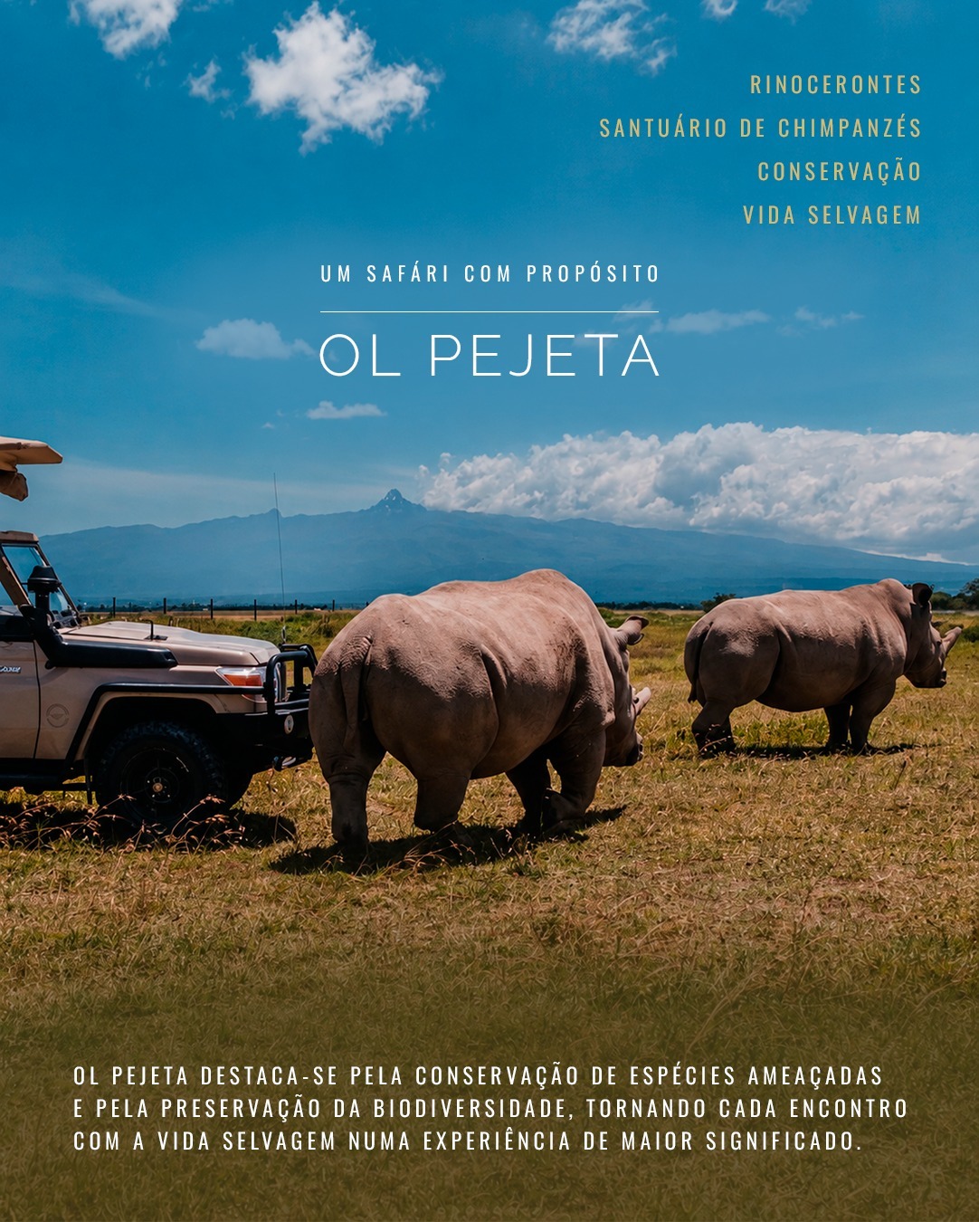 Pacote Quênia Essencial by Porini Camps