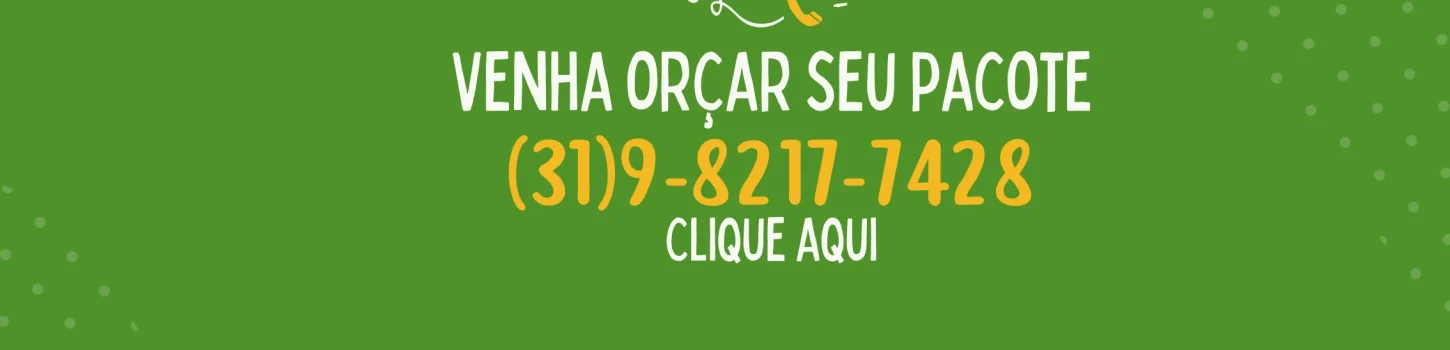 Banner de contato com fundo verde estilo WhatsApp. Texto centralizado em branco diz "Venha orçar seu pacote", seguido pelo número de telefone (31) 9-8217-7428 em destaque amarelo e a instrução "Clique Aqui".